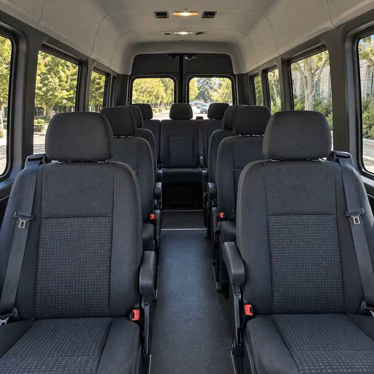 sprinter van with driver inside